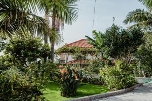 Gallery image of City View Gardens I in Funchal