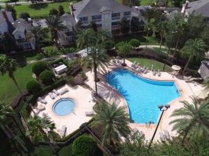 uma vista sobre uma piscina com palmeiras em Heritage Haven em Kissimmee