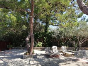 dwa krzesła i stół obok drzewa w obiekcie Ferma Solaris Apartments w mieście Agia Fotia