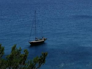 a boat sitting in the middle of the water at Ferma Solaris Apartments in Agia Fotia