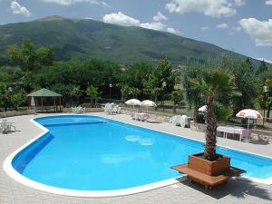 a large blue swimming pool with a palm tree in the middle at Hotel Miami in Civitella del Tronto