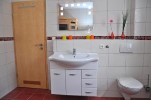 a bathroom with a sink and a toilet and a mirror at Ferienhaus Müritzsonne / EG-Appartement in Marienfelde +4 photos