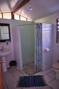 a bathroom with a shower and a toilet and a sink at Inaiti Lodge in Papeete