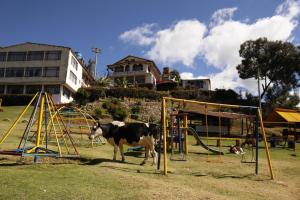 una vaca parada en un patio de juegos en un campo en Hotel Rural La Esperanza, en Suesca