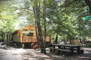 una cabina nel bosco con tavolo da picnic e panche di Llaima Camp a Curacautín
