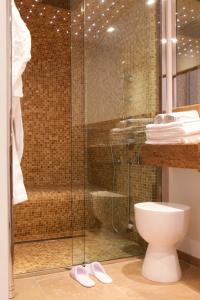 a bathroom with a shower and a toilet at Chalet La Vigogne - Spa & Hammam - 14 pers in Le Grand-Bornand