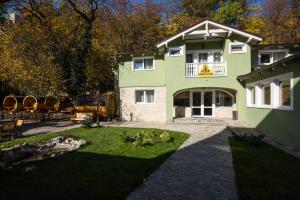 ein großes grünes Haus mit Hof in der Unterkunft Drachenhaus Urban Villa in Braşov