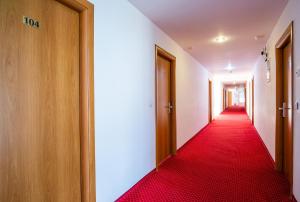 Satu Mare şehrindeki Hotel Dana tesisine ait fotoğraf galerisinden bir görsel