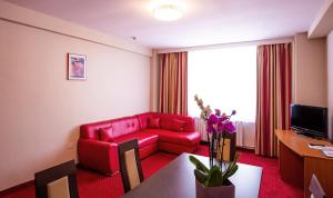 Satu Mare şehrindeki Hotel Dana tesisine ait fotoğraf galerisinden bir görsel +20 fotoğraf