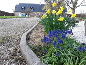 Gallery image of La Cle de Saule in Saint-Maclou-de-Folleville +48 photos