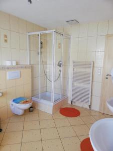 a bathroom with a shower and a toilet at Ferienwohnung am Bodensee mit 3 Schlafzimmer über 2 Etage mit kleine Balkon bis 7 Personen in Überlingen