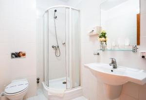 サトゥ・マーレにあるHotel Dana 2のバスルーム(シャワー、洗面台、トイレ付)