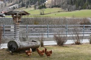 Fotografija v galeriji nastanitve Auenhof v mestu Gschnitz