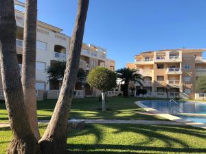 a resort with a swimming pool and palm trees at Hort 1-Serviden in Denia