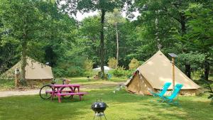 Gallery image of Camping Bois de St Hilaire in Chalandray +53 photos