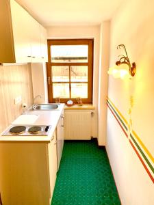 a kitchen with a green floor in a room at Gutshof zum Schluxen in Pinswang