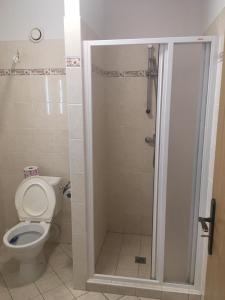 ein Bad mit einem WC und einer Dusche in der Unterkunft MOTOREST-PENSION U HRACHŮ,s.r.o. in Klatovy