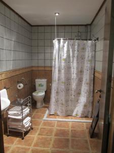 y baño con cortina de ducha y aseo. en Luna de Vilar en Vilarpescozo