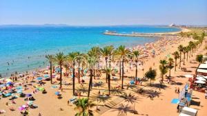 A beach at or near the holiday home