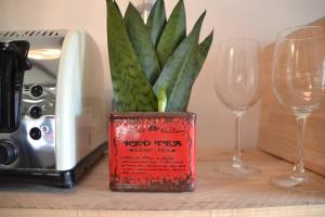 a plant in a red container next to two wine glasses at Cattle Shed Cottage in Narberth