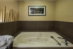 
A bathroom at Holiday Inn Lethbridge, an IHG Hotel
