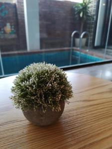 a plant sitting on top of a wooden table at D'Story Brickhouse @ OKW in Melaka