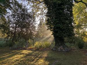 Zahrada ubytování Schlossgut Gorow