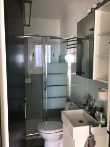 a bathroom with a toilet and a shower and a sink at Apartamiento canyelles in Roses