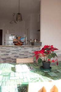 A kitchen or kitchenette at Apartamento Nuevo con Encanto