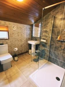 a bathroom with a shower and a toilet and a sink at Squirrel Lodge at Owlet Hideaway - with Hot Tub, Near York in York