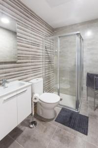 La salle de bains est pourvue de toilettes, d'une douche et d'un lavabo. dans l'établissement Apartamentos La Catedral 2º B - Pleno Centro, à Logroño