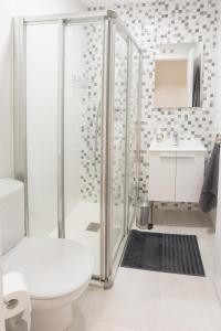 La salle de bains est pourvue d'une douche, de toilettes et d'un lavabo. dans l'établissement Apartamentos La Catedral 2º B - Pleno Centro, à Logroño