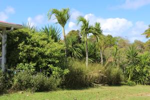 Giardino di Les Z’Alizés