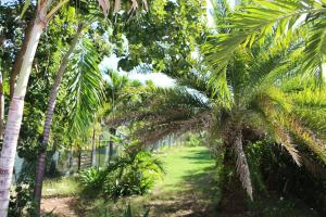 Giardino di Les Z’Alizés