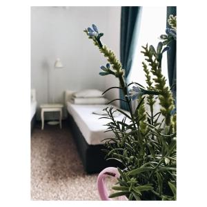 a bedroom with a bed and a potted plant at Pastel Guest Rooms in Warsaw