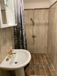 Kúpeľňa v ubytovaní Pellegrini Apartman