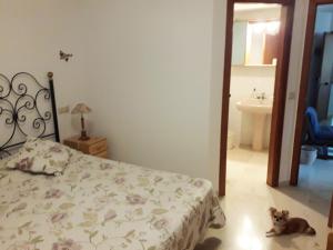 A bed or beds in a room at playa mar 2