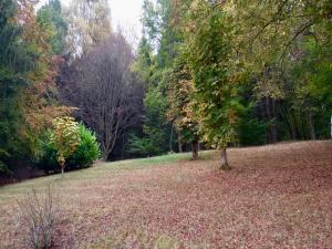 Naturlandschaft in der Nähe des Ferienhauses