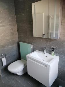 ein Badezimmer mit einem weißen Waschbecken und einem WC in der Unterkunft Ferienwohnung in Trin in Trin