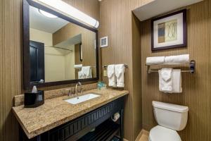 a bathroom with a toilet, sink and mirror at Holiday Inn Arlington Northeast, an IHG Hotel in Arlington