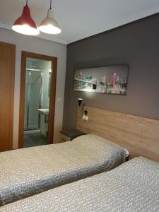 1 dormitorio con 2 camas individuales y espejo en Pension Santiago, en Burgos