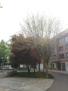 Fotografia z galérie ubytovania Pension Santiago v destinácii Burgos