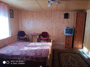 TV a/nebo společenská místnost v ubytování У ДЯДЬКА + 29 fotografií