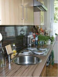 uma cozinha com um lavatório e uma bancada em bedroom@home em Berg bei Rohrbach