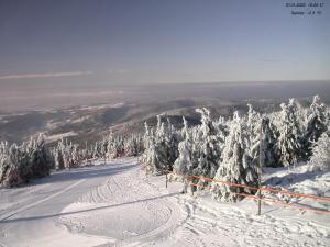 una pista de esquí con árboles nevados en una montaña en Horní Náměstí, en Rokytnice nad Jizerou