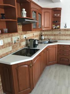A kitchen or kitchenette at Apartman Harmonia Poděbrady