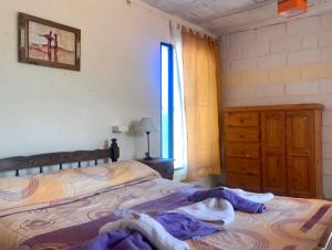 1 dormitorio con 1 cama, vestidor y ventana en Hosteria Aura Azul (ex Ser Azul) en Capilla del Monte