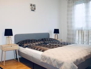 Ένα ή περισσότερα κρεβάτια σε δωμάτιο στο Hortenzia Apartman Pécs
