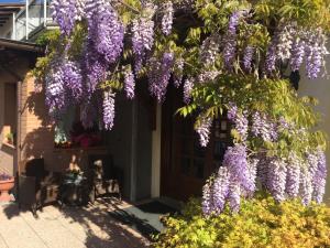 Afbeelding uit fotogalerij van Hotel Ferro di Cavallo in Pavullo nel Frignano