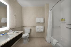 a bathroom with a toilet and a sink and a tub at Holiday Inn Express & Suites - Fayetteville South, an IHG Hotel in Fayetteville
